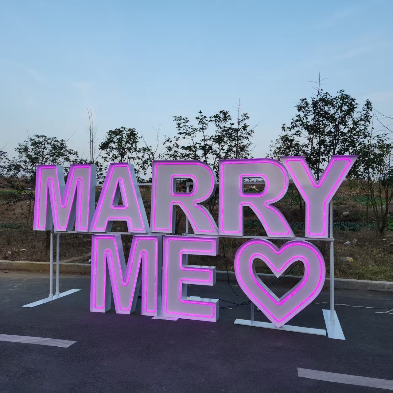 MARRY ME Enseigne lumineuse LE - Event Party Supply Rental avis et prix